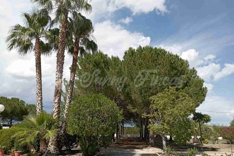 Landejendom i Yecla, Murcia, Yecla - € 480.000 | Ref: SF0501 - foto 34